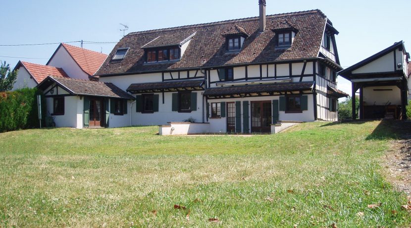 maison jardin terrasse